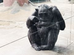 -石家庄市动物园