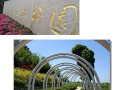 -铁山坪森林公园