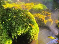 -Chom Cafe and Restaurant