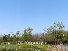 -院士公园