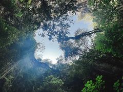 -中岜朗天坑(CV GEO INDO RAYA)