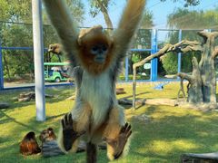 -大连森林动物园