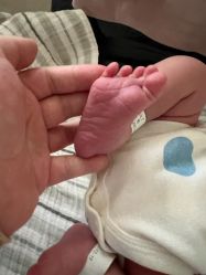 -杭州贝瑞斯美华妇儿医院·早孕·产检·儿科