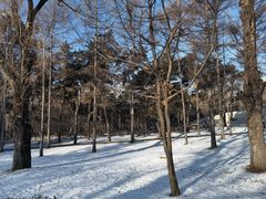 -长春市南湖公园