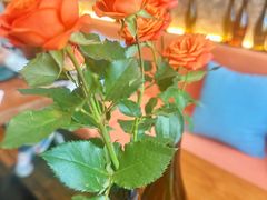 -Laures·月桂西班牙碳烤餐厅(十尚坊店)