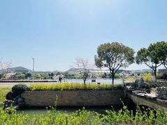 -羊山湖公园