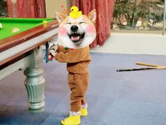 -咸宁万豪温泉谷度假区