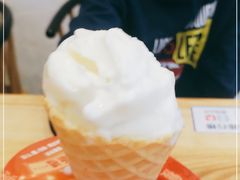 -野人先生现做冰淇淋(北京环宇荟店)