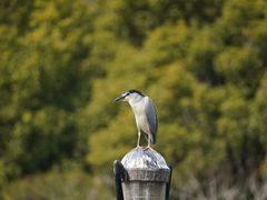 -苏州河梦清园环保主题公园