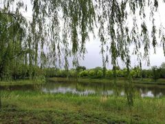 -东郊湿地公园