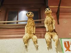 -中山公园-龙之梦停车场