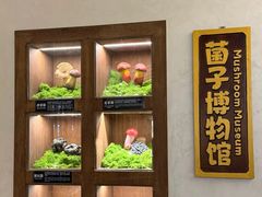 -菌自由丨野生菌火锅特色庭院餐厅(丽江古城店)