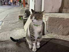 -黎阳老街