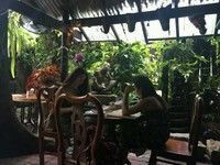 -自然餐厅(Phuket)