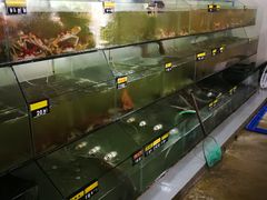 -岛中岛·海鲜大排档·万宁老字号(东澳店)