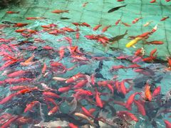 -陕西自然博物馆