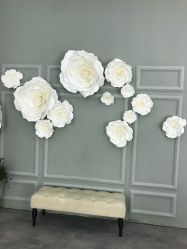 -爱儿美儿童摄影(奥森公园店)