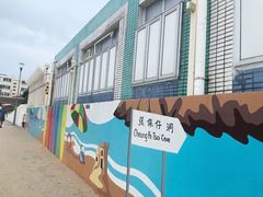 -长洲岛