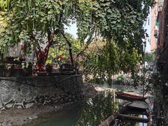 -小洲村