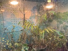 -上海大自然野生昆虫馆(东方明珠·爬宠昆虫探索中心)