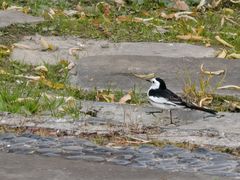 -苏州河梦清园环保主题公园