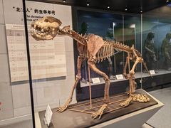 -北京周口店北京人遗址博物馆
