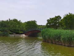 -塘沽森林公园