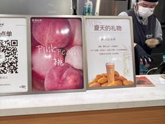 -雾与山茶(大禹城店)