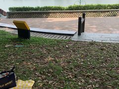 -东莞植物园
