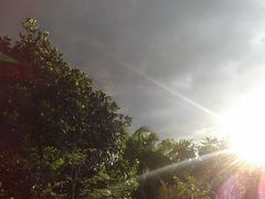 -维乐口腔医院(星海湾分院)