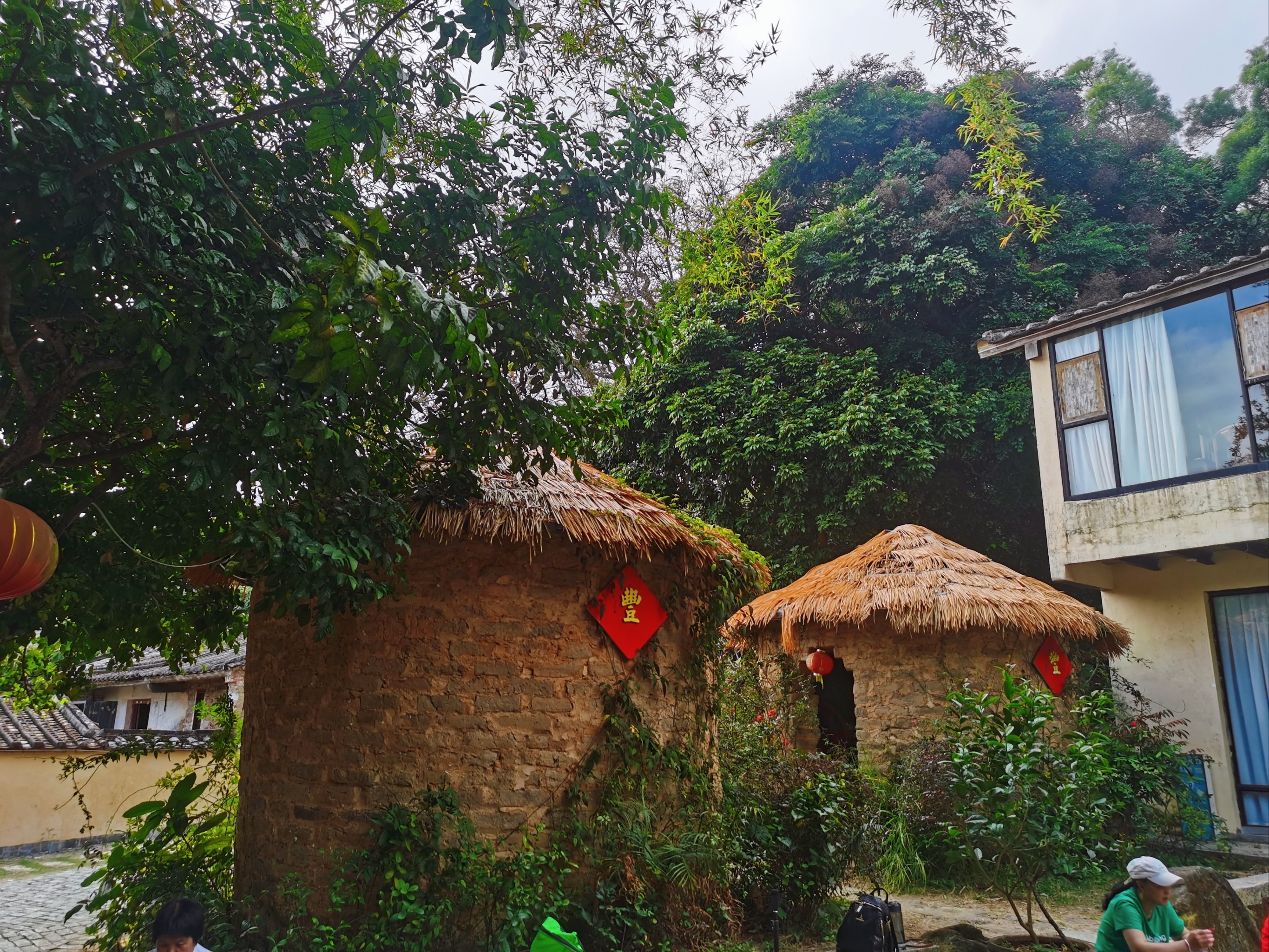 海陵岛上的乡村生活❗谷寮村