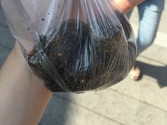 -叶氏麻糍(鼓浪屿店)