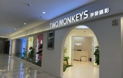 -Two  Monkeys 孕婴写真馆(龙华店)