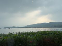 -湖畔居茶楼(湖滨店)