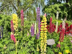 -国家植物园南园