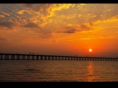 -宝安西湾红树林湿地公园