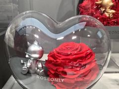 -ROSEONLY诺誓(广州K11店)
