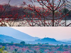 -海南霸王岭国家森林公园