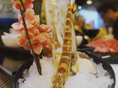 花竹虾-鲜入围煮花胶鸡海鲜火锅