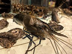 -Ministry of Crab(科伦坡店)