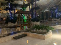 -铂丽斯国际大酒店-凯悦自助餐厅