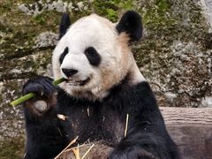 -顺风123(观音桥大融城店)