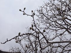-颐和园