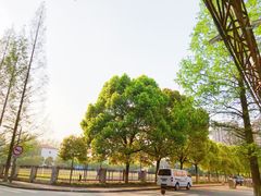 -同济大学(沪西校区)