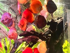 -上海海洋水族馆