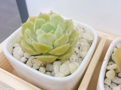 -世纪联华超市(浦电路店)