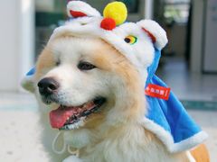 -老外街