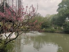 -上海醉白池公园