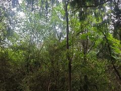 -金堂县云顶石城风景区