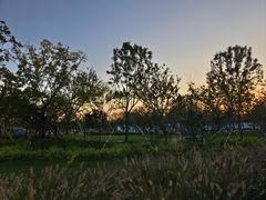 -上海滨江森林公园
